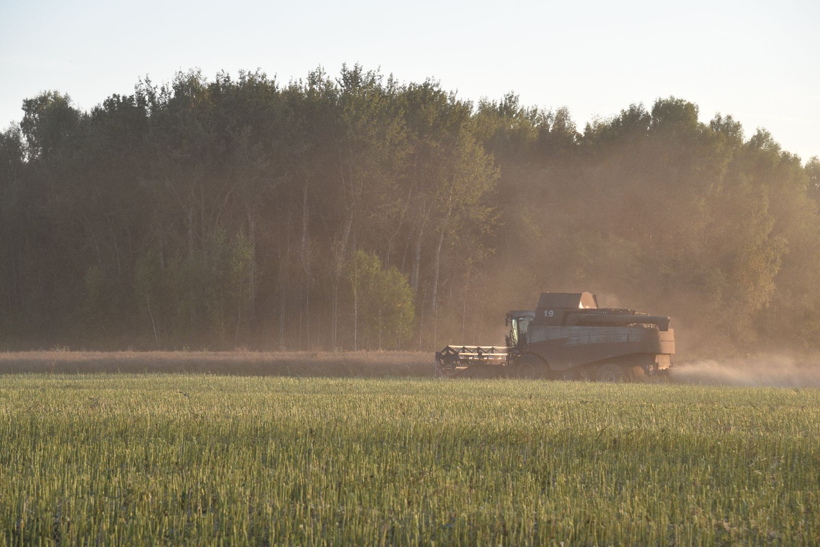 лотошино, урожай 2024, сельское хозяйство,