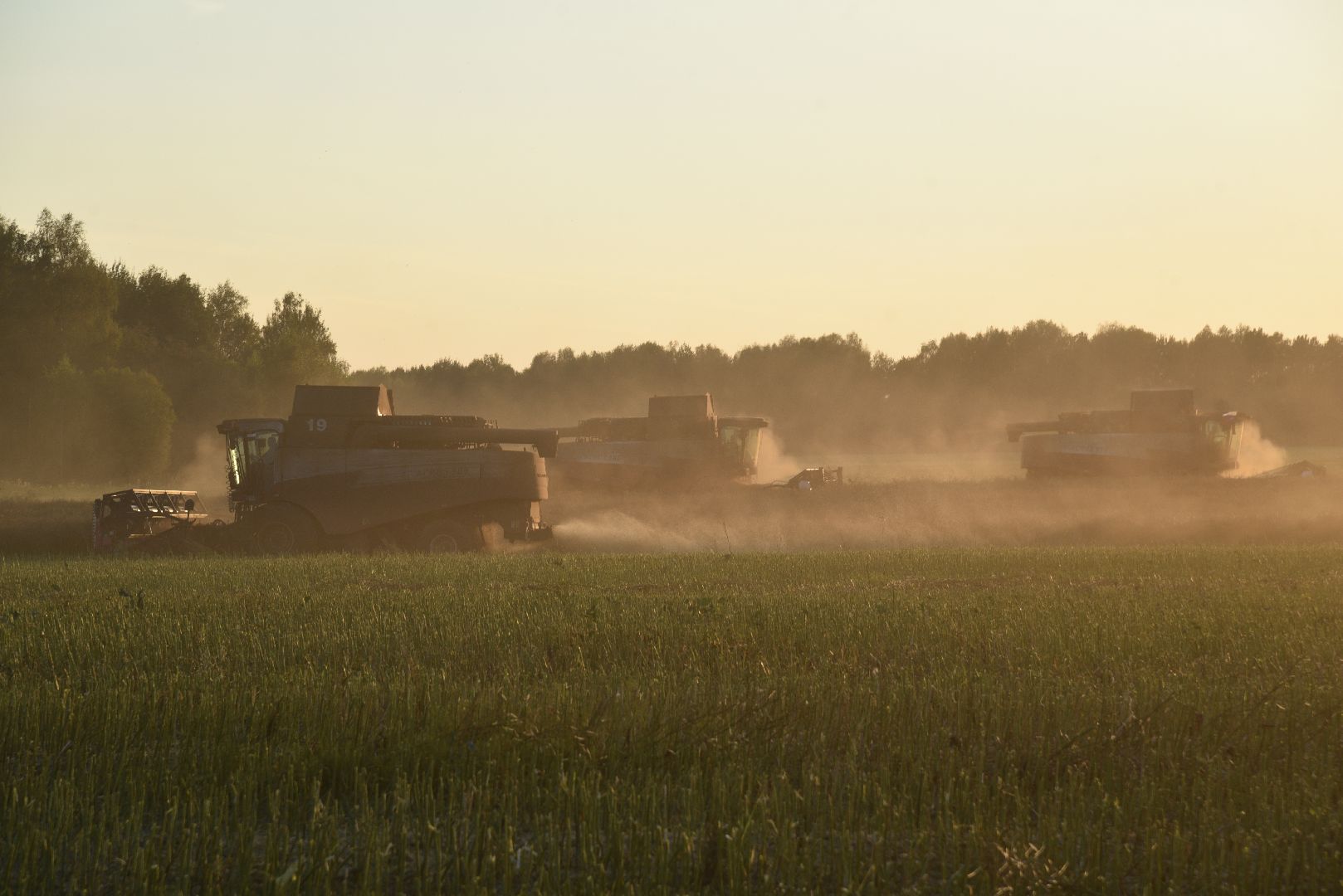 лотошино, урожай 2024, сельское хозяйство,