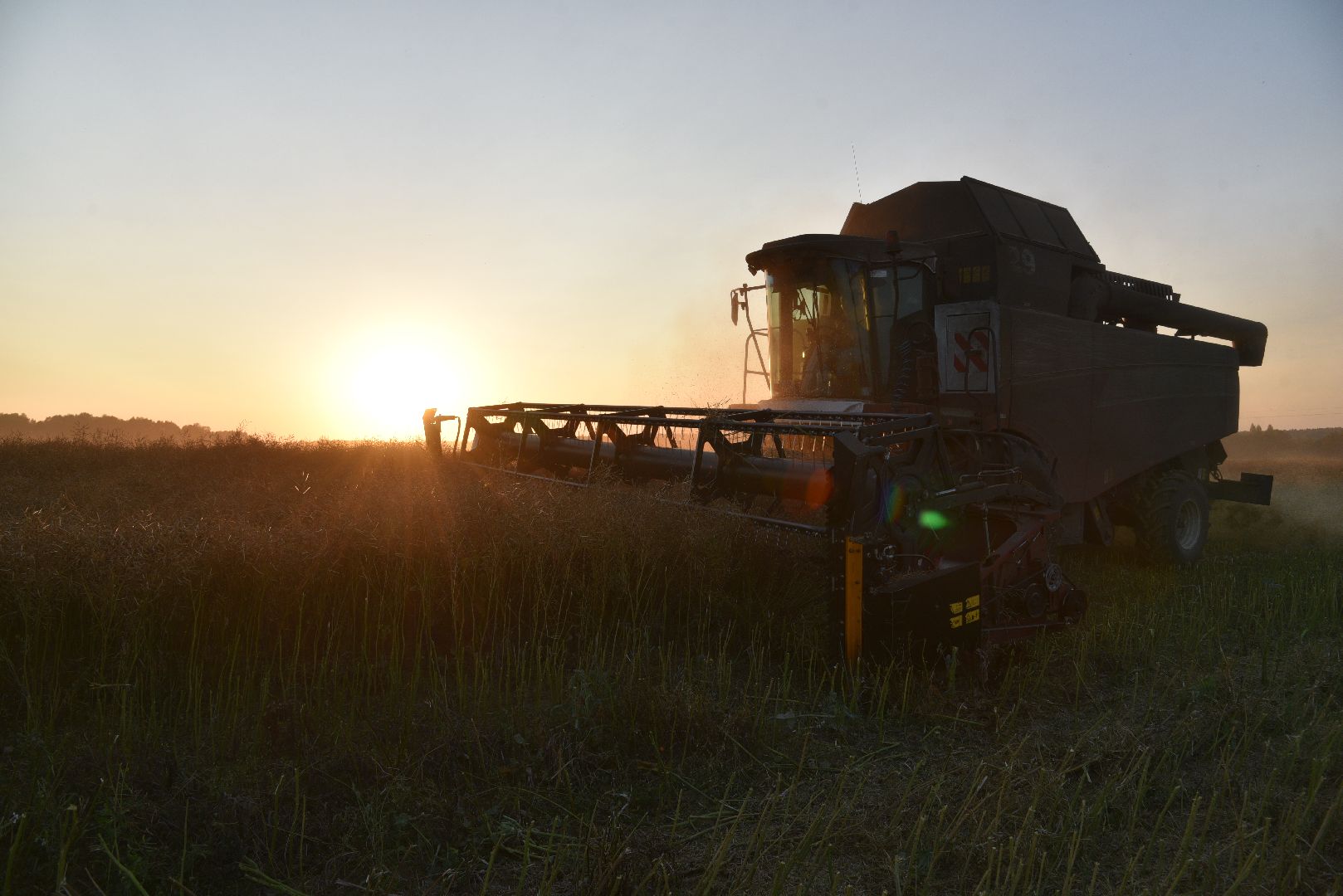 лотошино, урожай 2024, сельское хозяйство,
