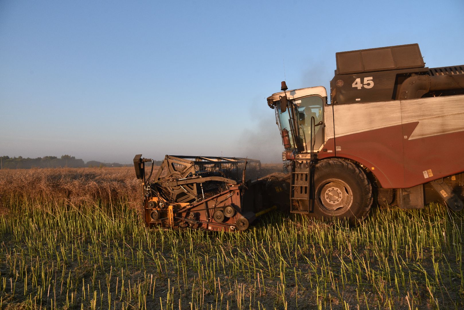 лотошино, урожай 2024, сельское хозяйство,