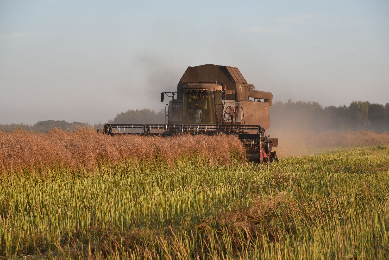 лотошино, урожай 2024, сельское хозяйство,