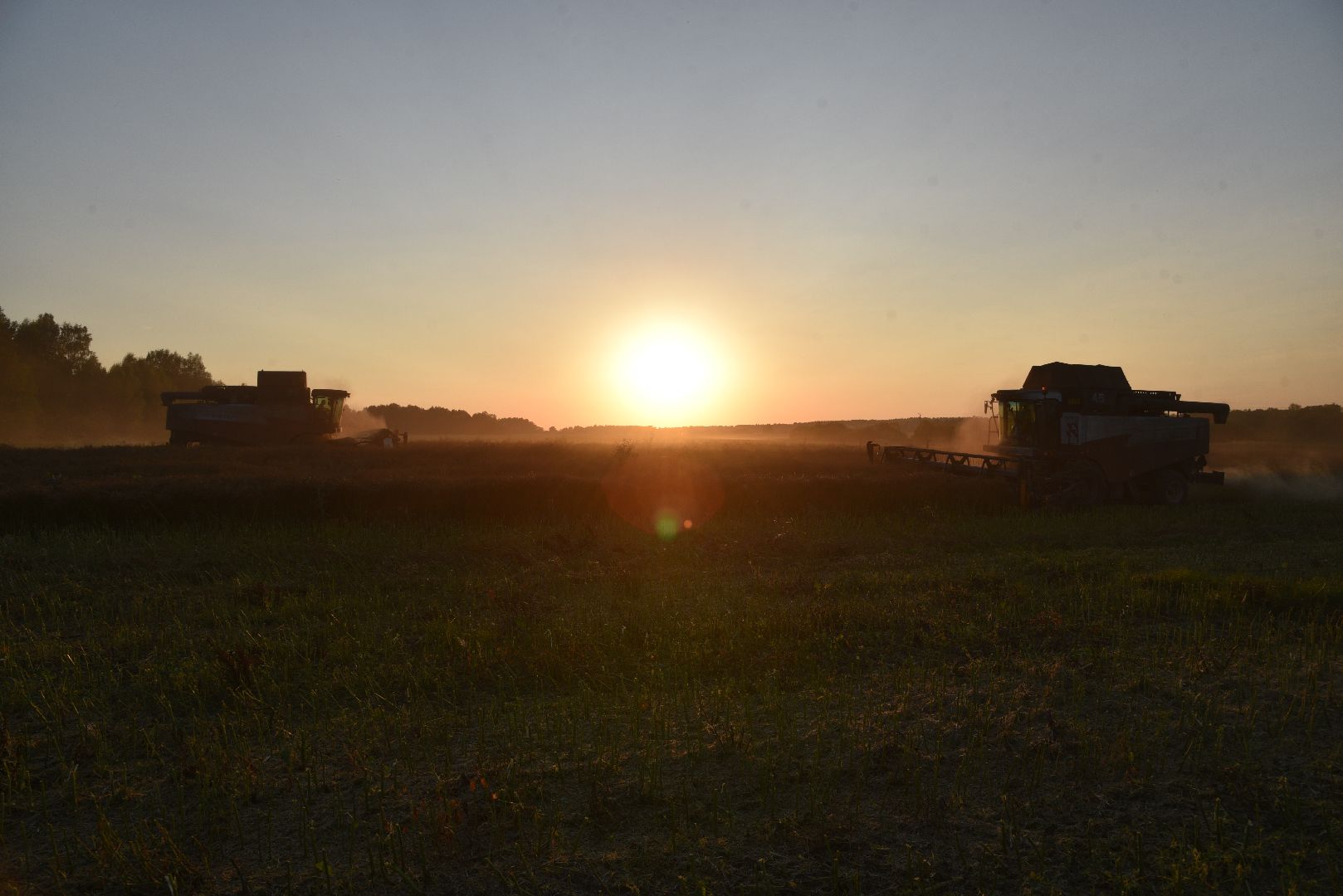 лотошино, урожай 2024, сельское хозяйство,