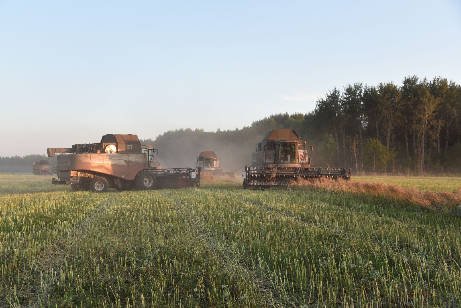 лотошино, урожай 2024, сельское хозяйство,