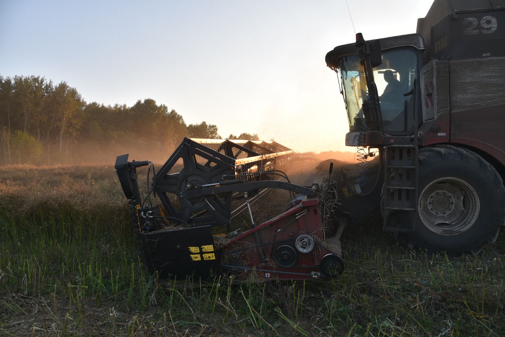 лотошино, урожай 2024, сельское хозяйство,