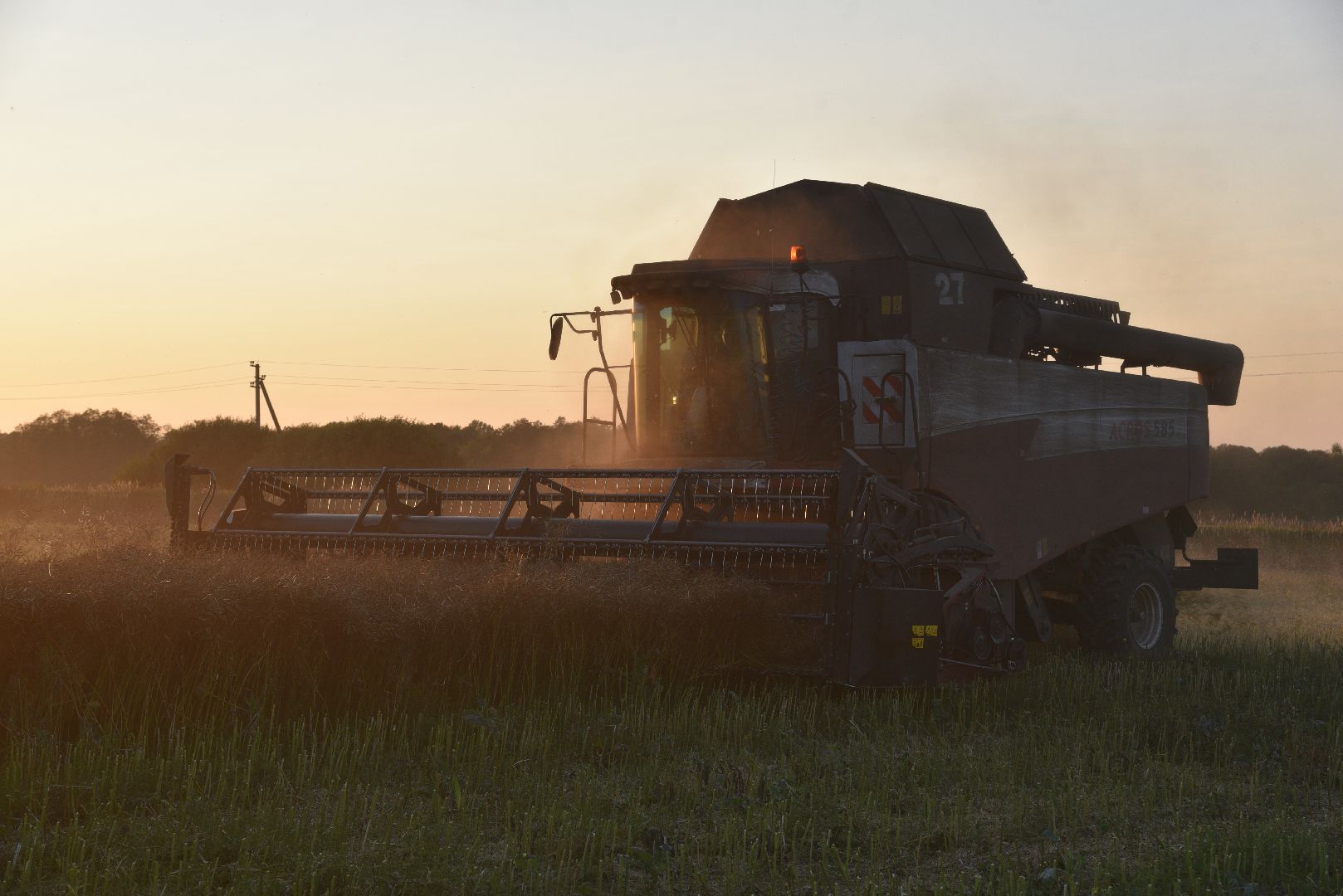 лотошино, урожай 2024, сельское хозяйство,