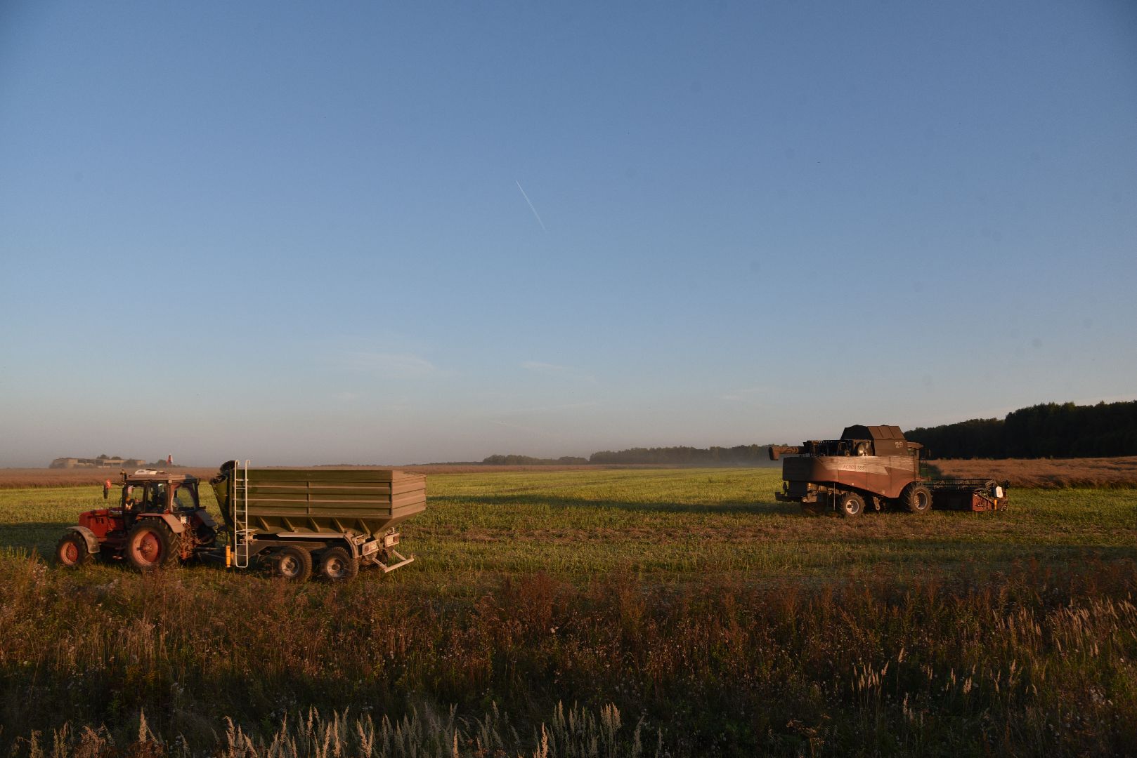 лотошино, урожай 2024, сельское хозяйство,