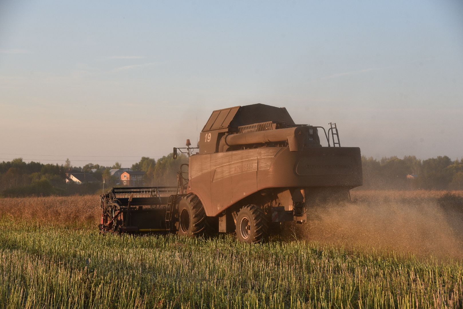 лотошино, урожай 2024, сельское хозяйство,