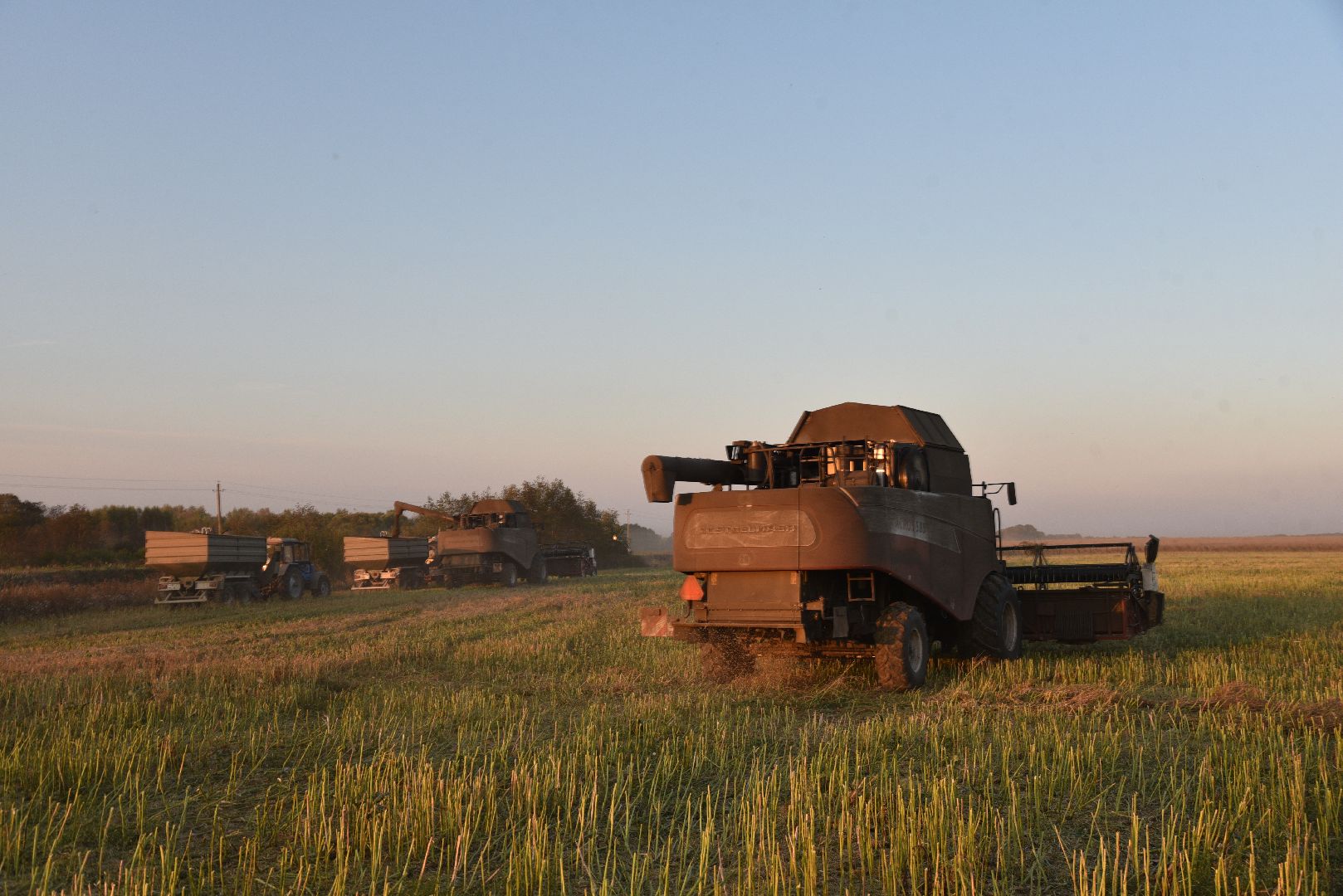 лотошино, урожай 2024, сельское хозяйство,