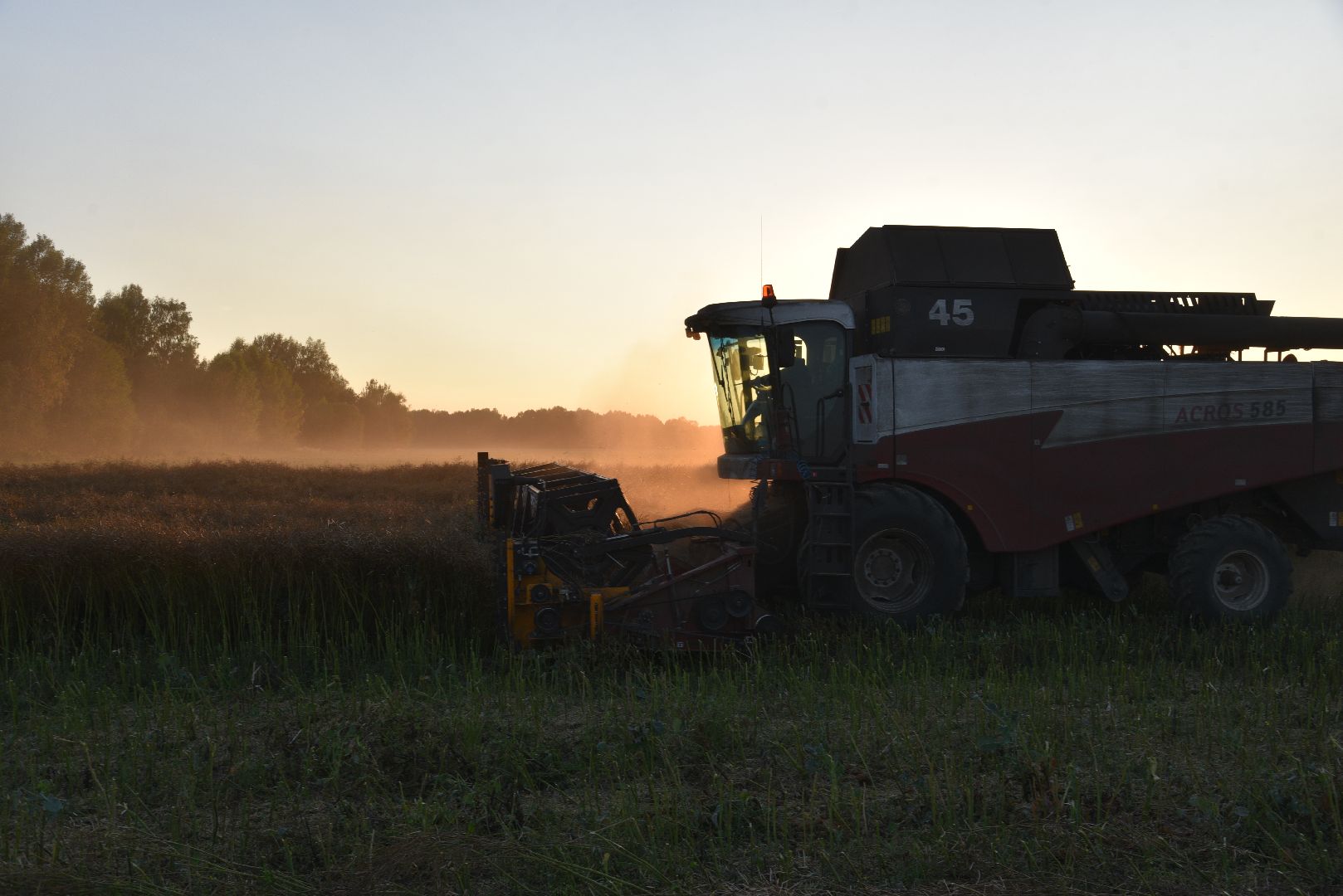 лотошино, урожай 2024, сельское хозяйство,