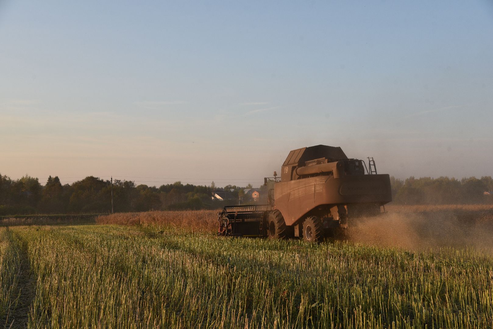 лотошино, урожай 2024, сельское хозяйство,