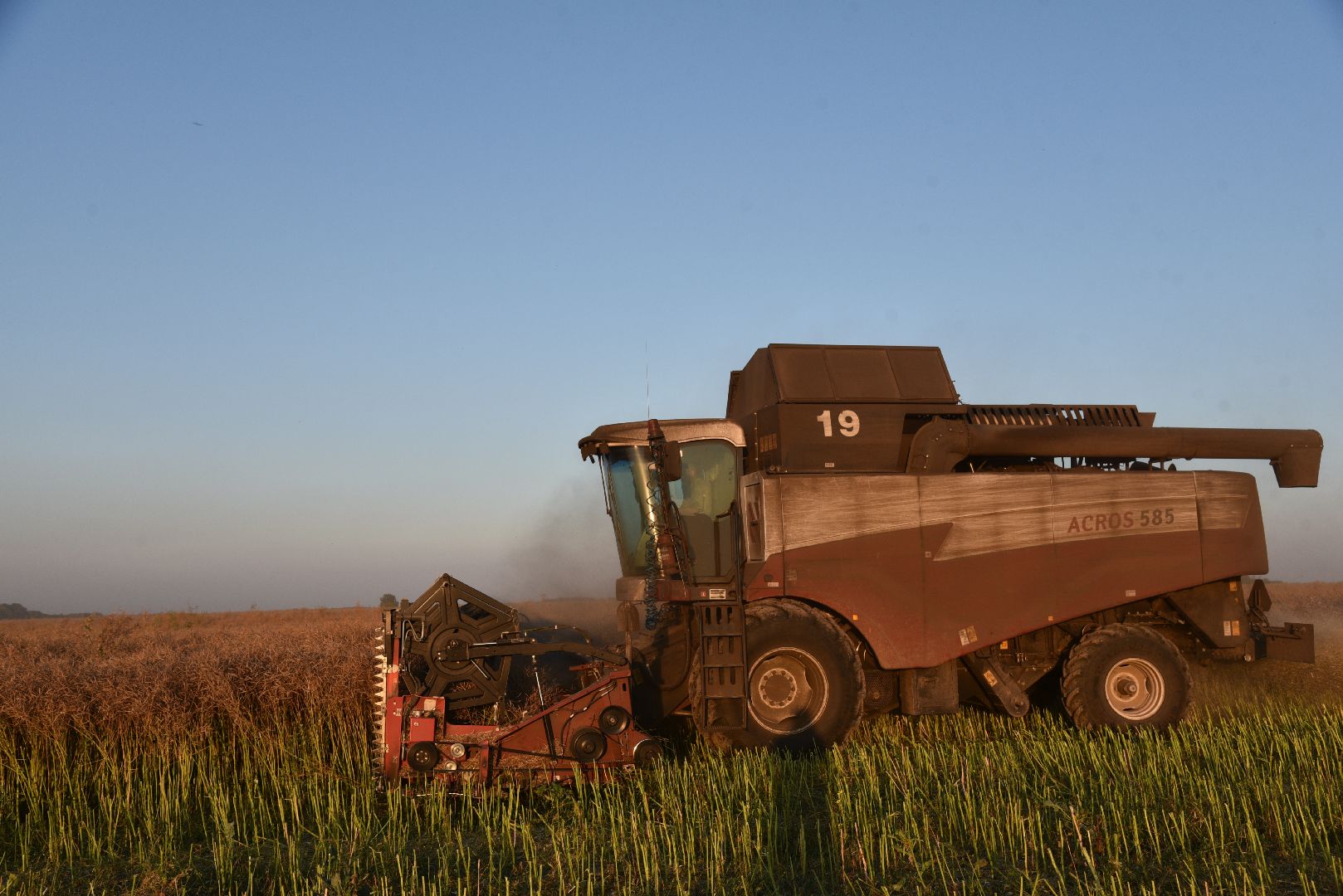 лотошино, урожай 2024, сельское хозяйство,