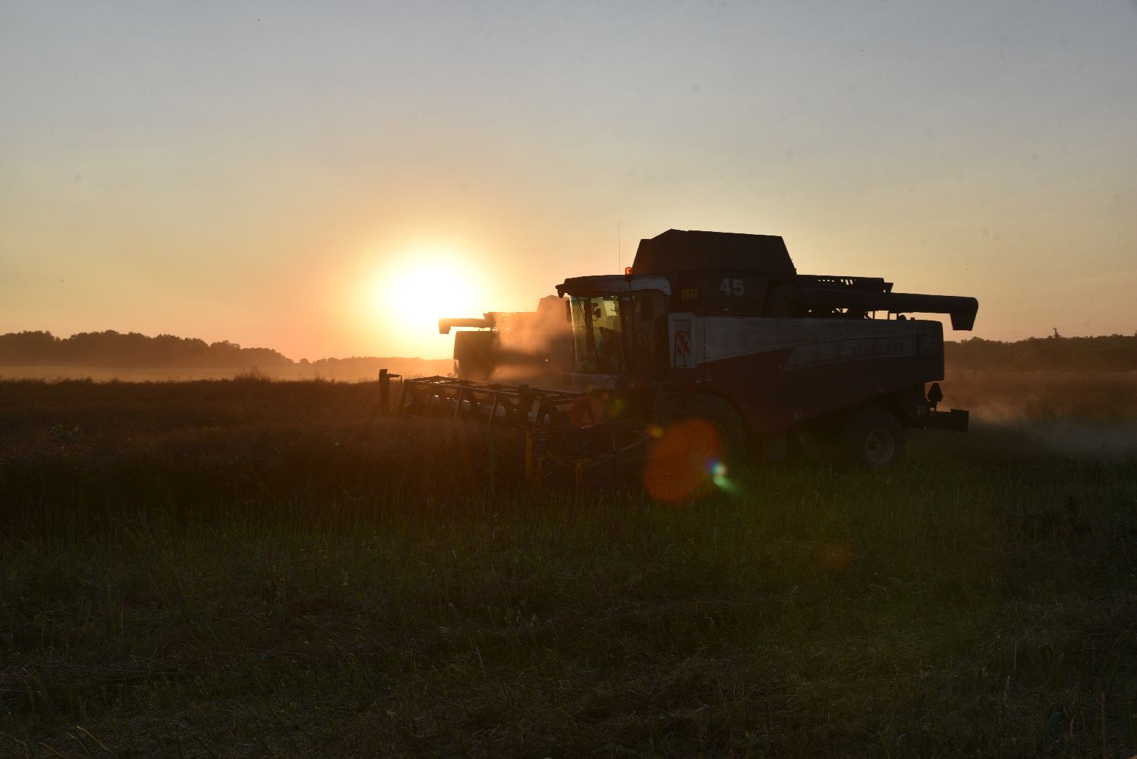 лотошино, урожай 2024, сельское хозяйство,