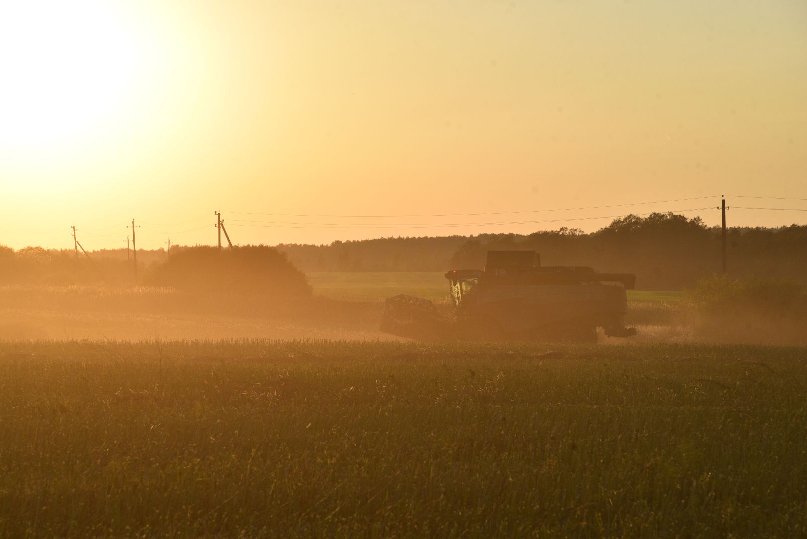 лотошино, урожай 2024, сельское хозяйство,