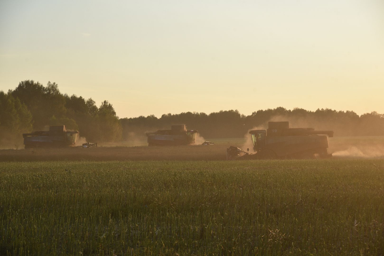 лотошино, урожай 2024, сельское хозяйство,