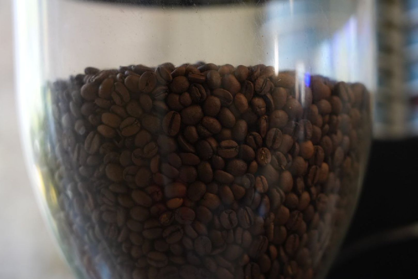 Краеведение, История, Сергиев Посад,