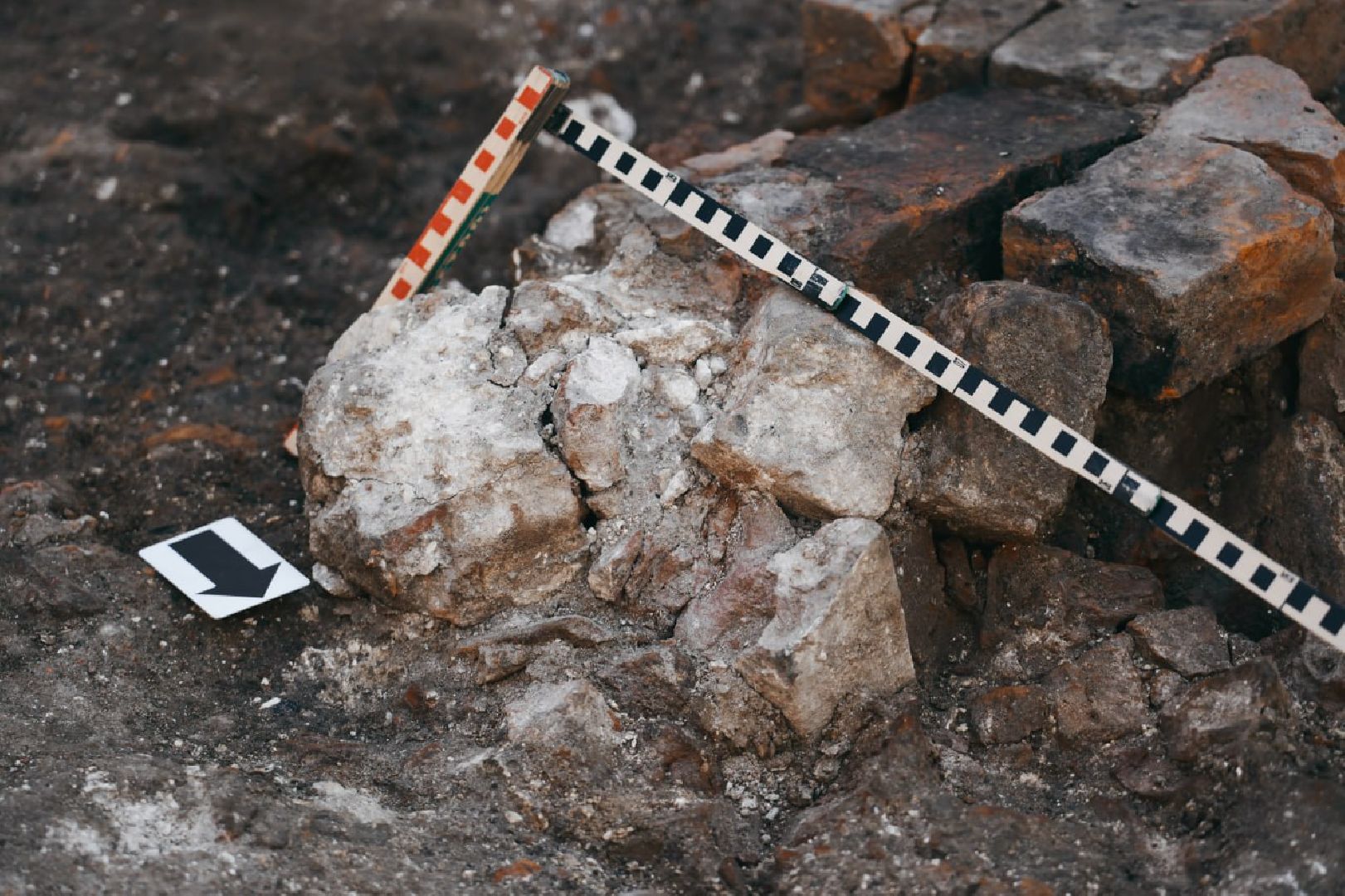 Археологи, Раскопки, Сергиев Посад, Троице-Сергиева лавра, История, Эксклюзив,