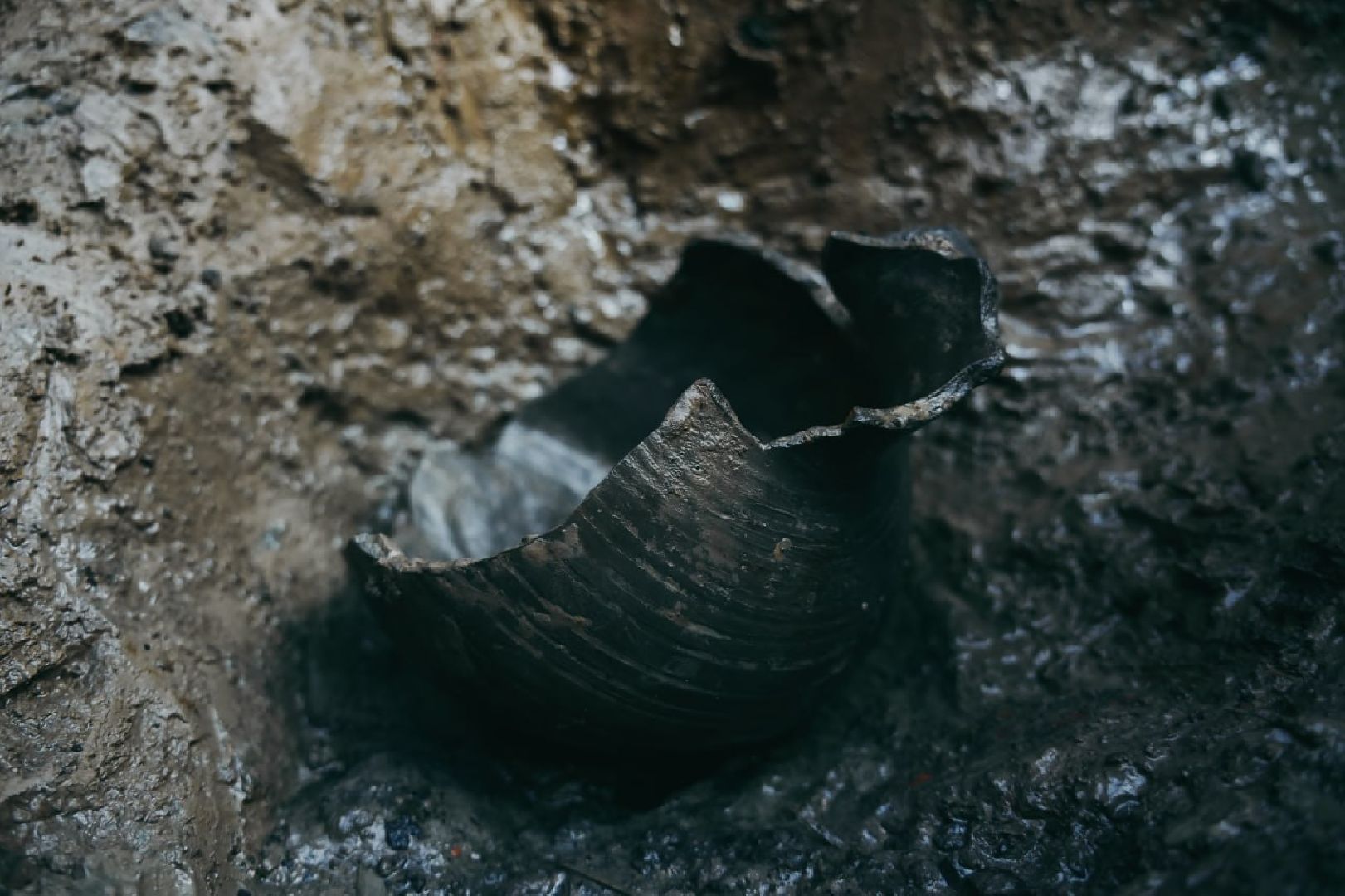 Археологи, Раскопки, Сергиев Посад, Троице-Сергиева лавра, История, Эксклюзив,