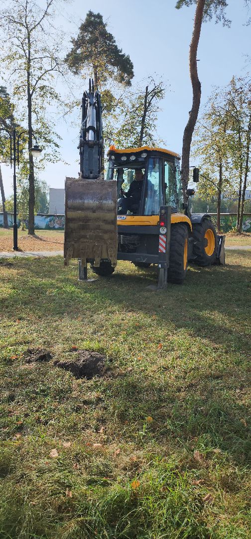 серпухов, подмосковье, акция, лес, экологическая акция,