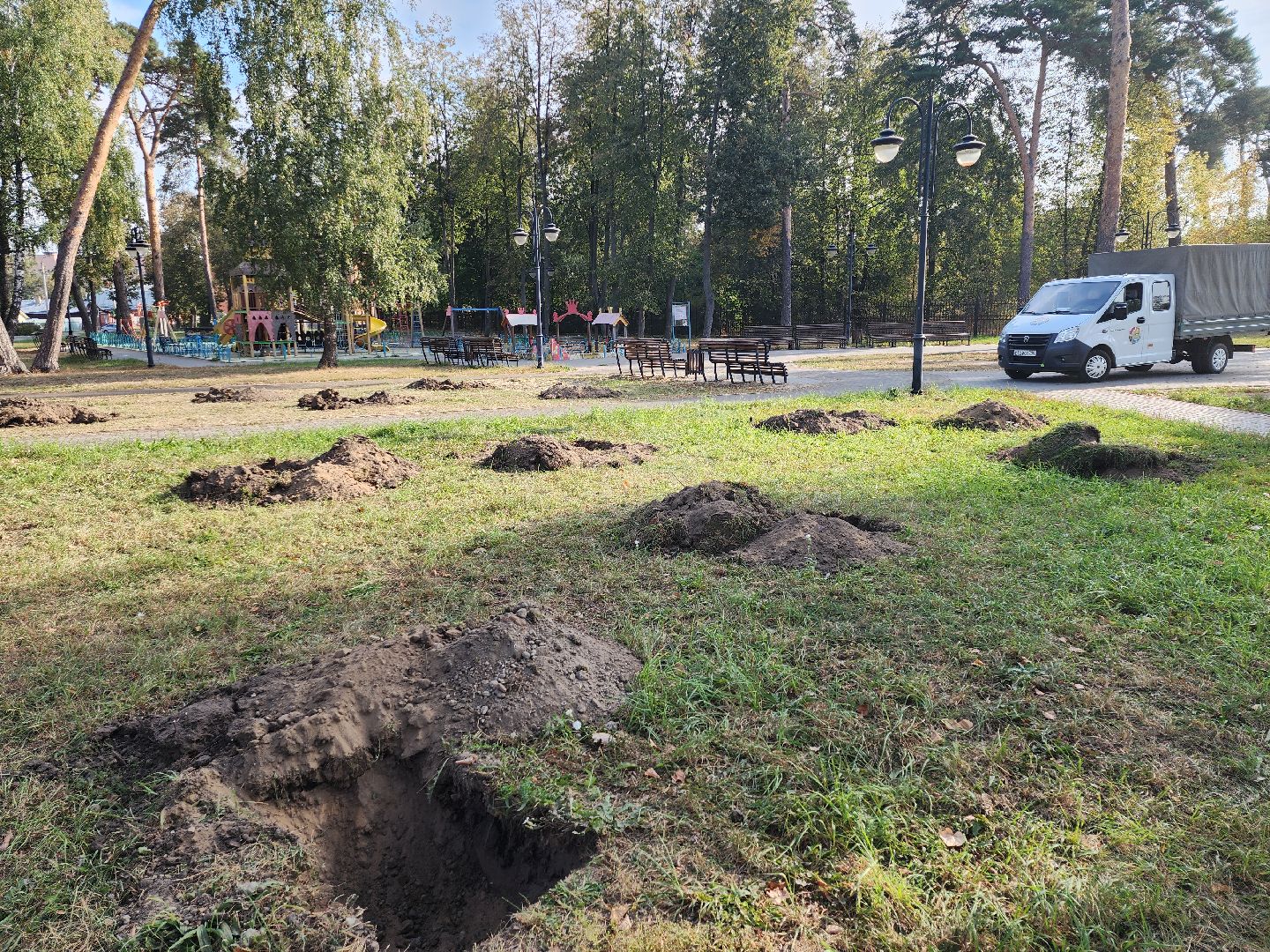 серпухов, подмосковье, акция, лес, экологическая акция,