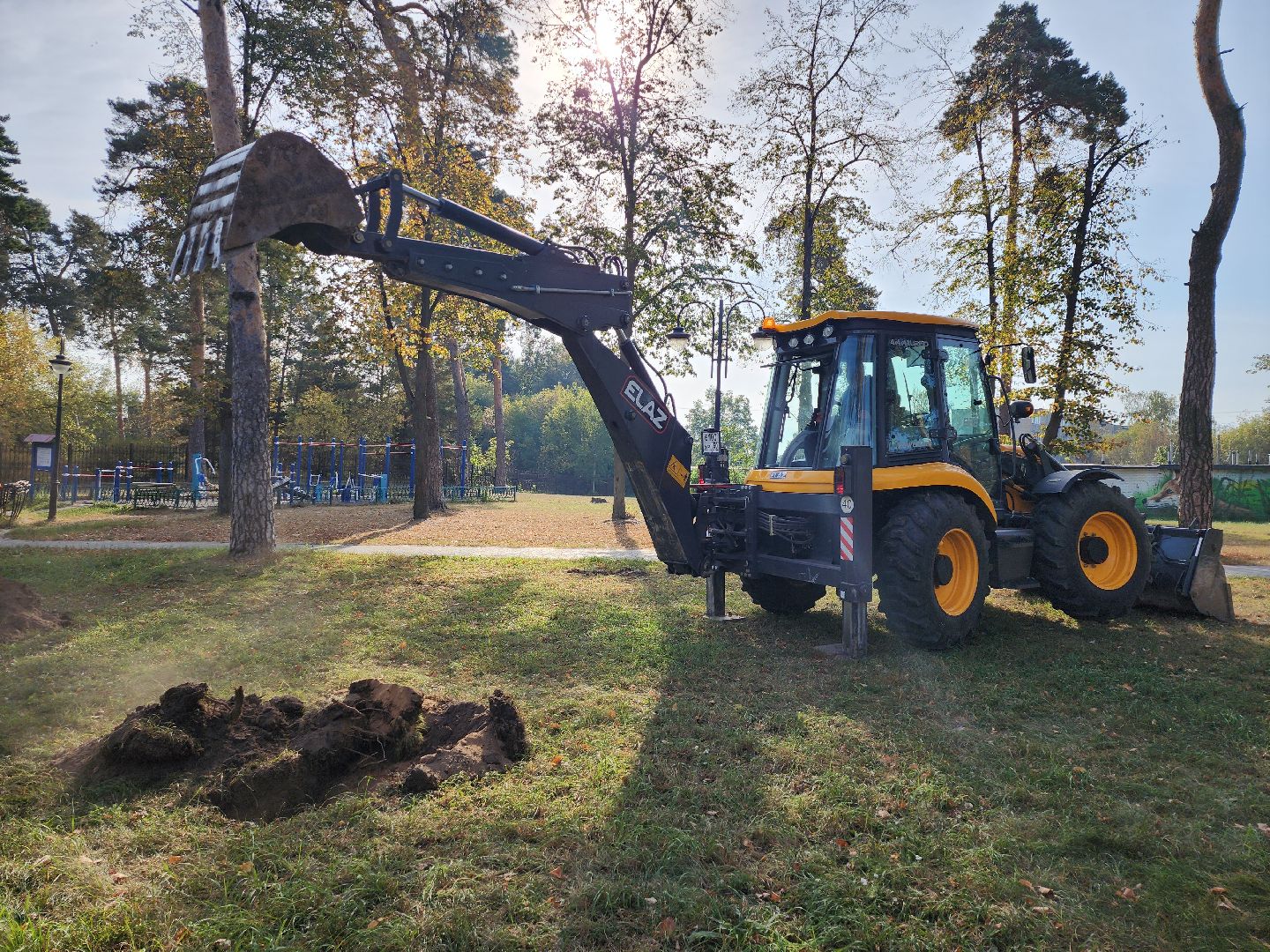 серпухов, подмосковье, акция, лес, экологическая акция,