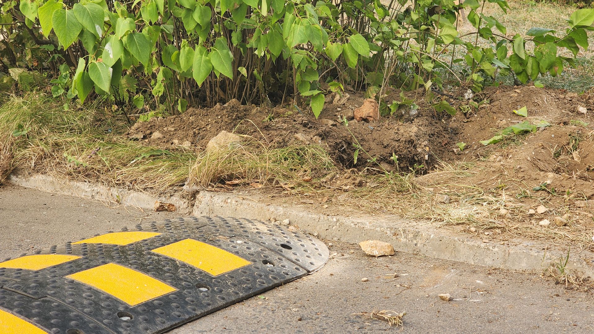 Добродел, Протвино, комбинат благоустройства, Благоустройство, Реакция на заявку,