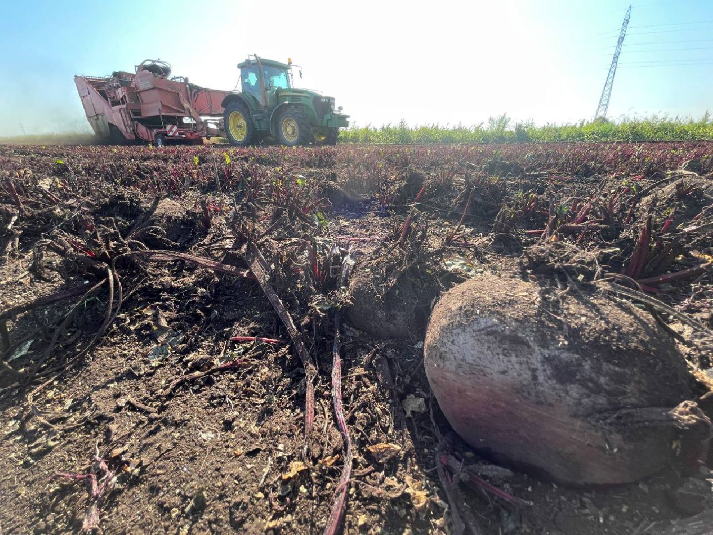 Дмитров, ЗАО Куликово, Минсельхоз,