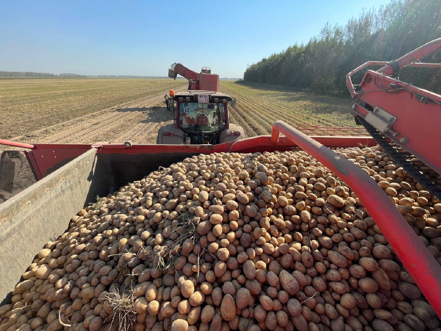 Дмитров, ЗАО Куликово, Минсельхоз,