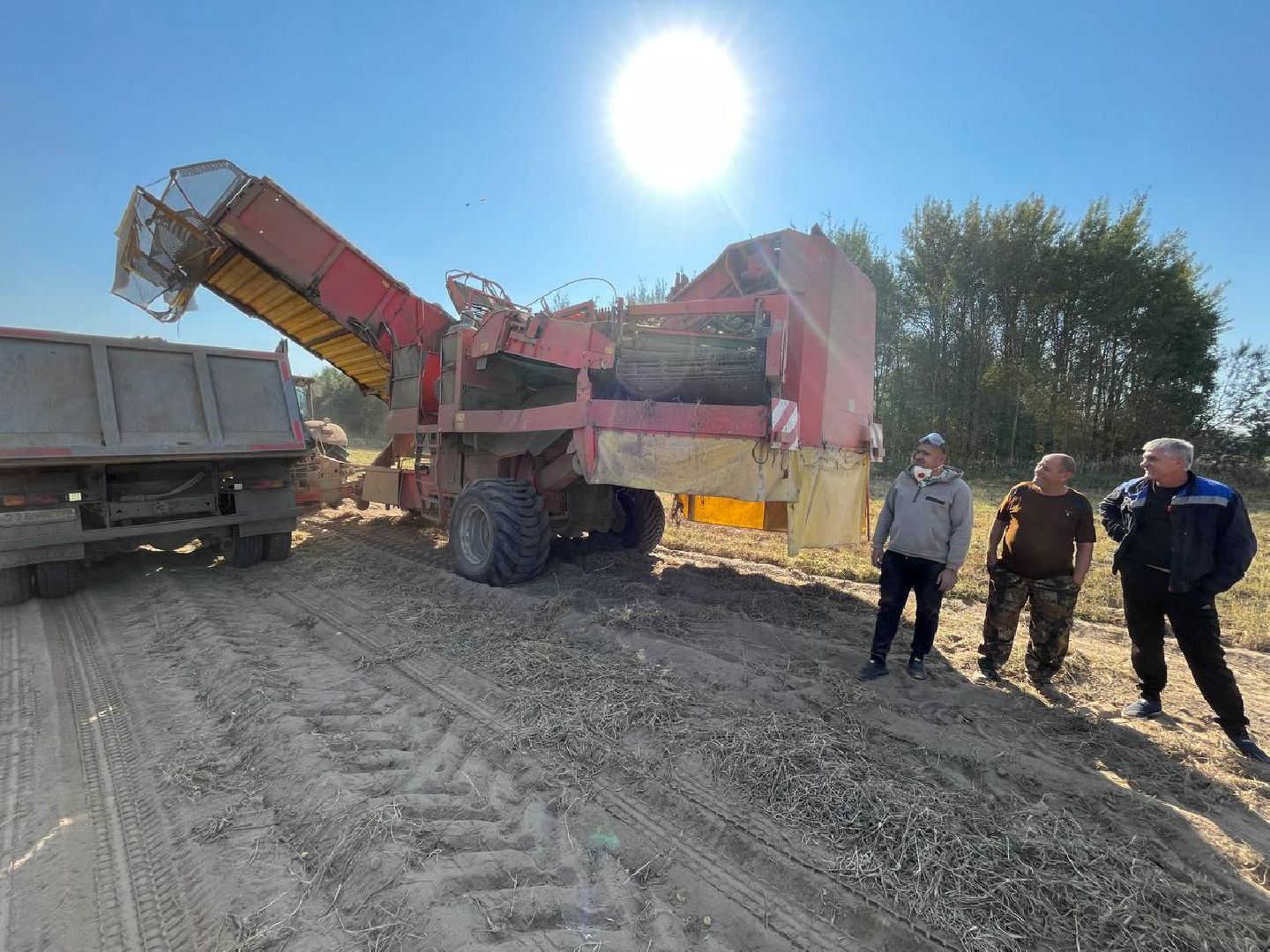 Дмитров, ЗАО Куликово, Минсельхоз,