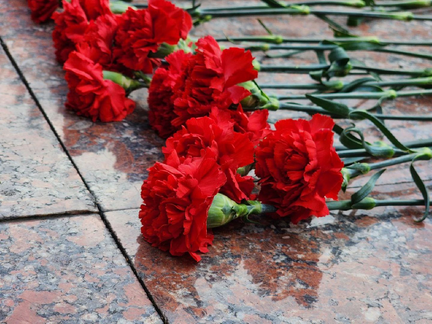 можайск, можайский городской округ, подмосковье, юнармия, всероссийское военно-патриотическое движение, школьники, дети, юные патриоты, торжественная церемония, вступление в ряды юнармии,