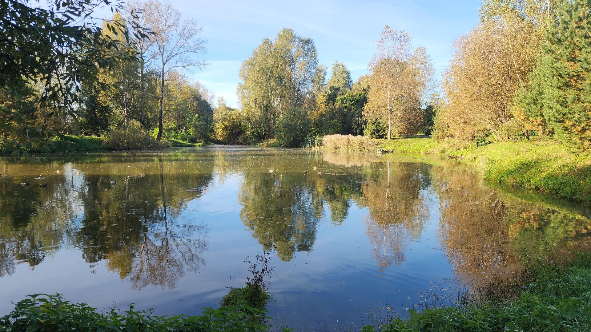 Звенигород, благоустройство,Спортивные площадки Подмосковья,
