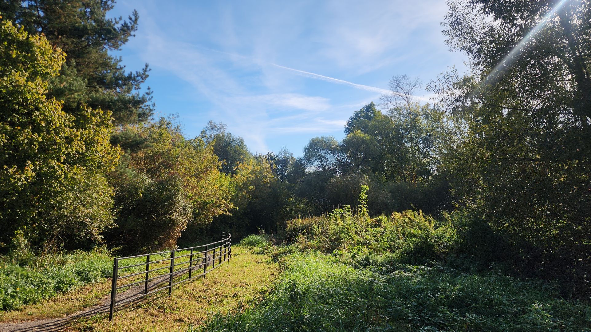 Звенигород, благоустройство,Спортивные площадки Подмосковья,