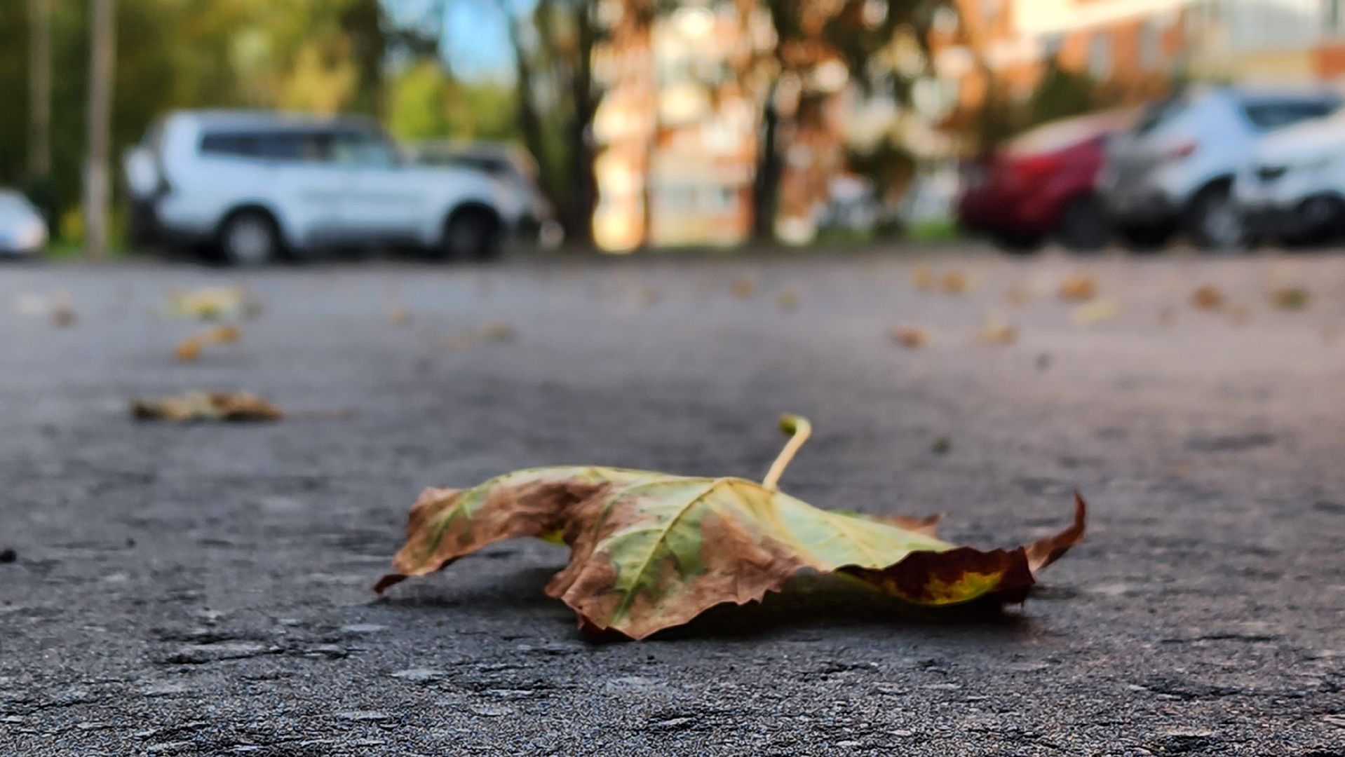 Солнечногорск, Военный городок, благоустройство двора, благоуйстройство,