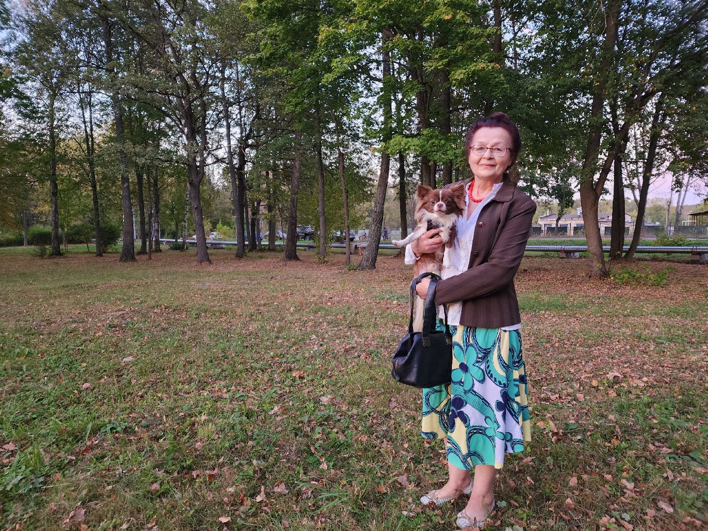 Чехов, деревня Алексеевка, поселок Чернецкое, выездная администрация, встреча с жителями, обращения жителей, благоустройство, улица Победы,