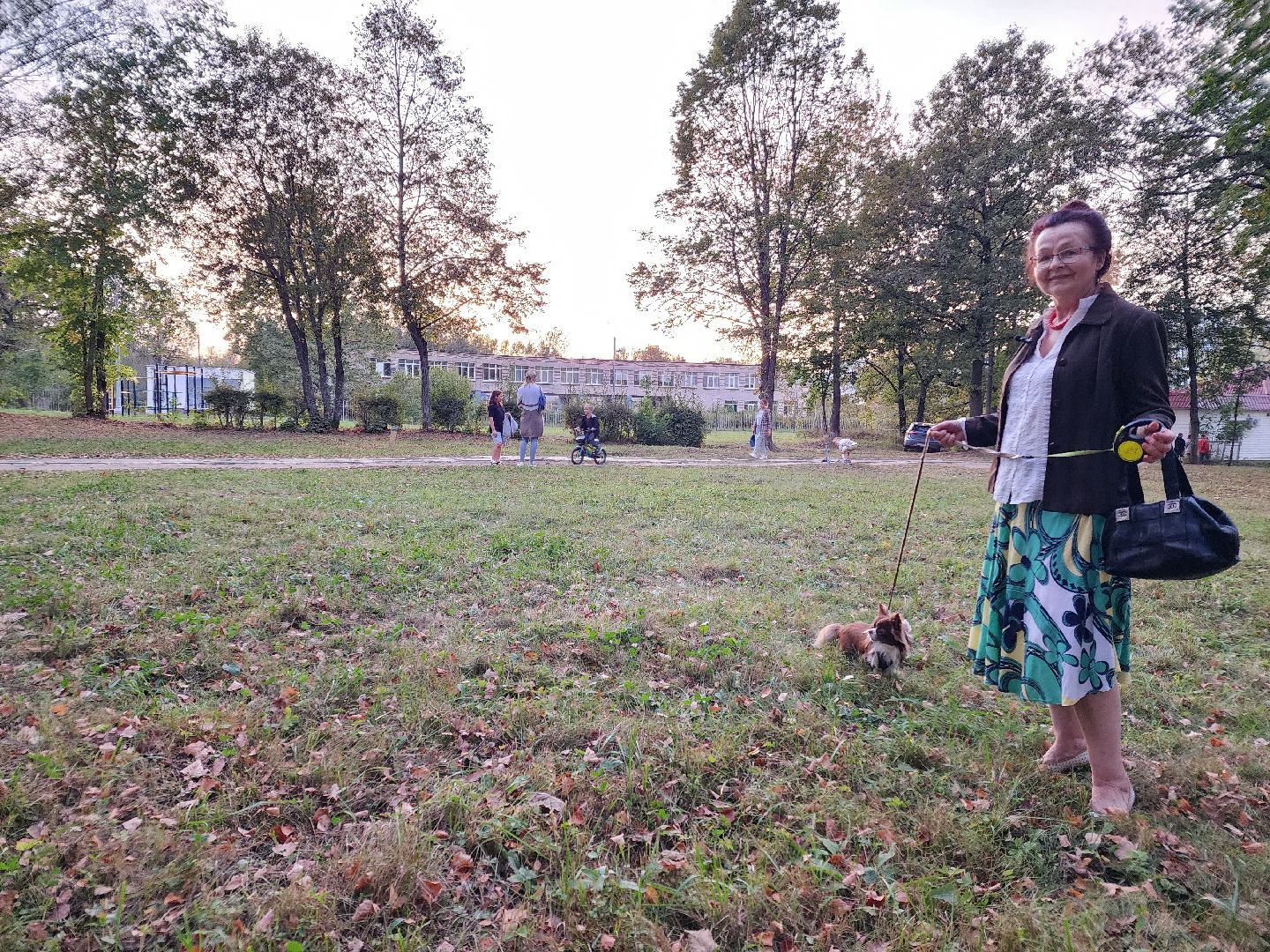 Чехов, деревня Алексеевка, поселок Чернецкое, выездная администрация, встреча с жителями, обращения жителей, благоустройство, улица Победы,