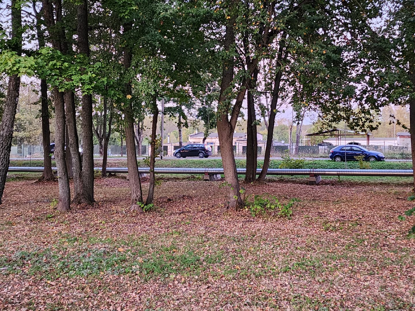 Чехов, деревня Алексеевка, поселок Чернецкое, выездная администрация, встреча с жителями, обращения жителей, благоустройство, улица Победы,