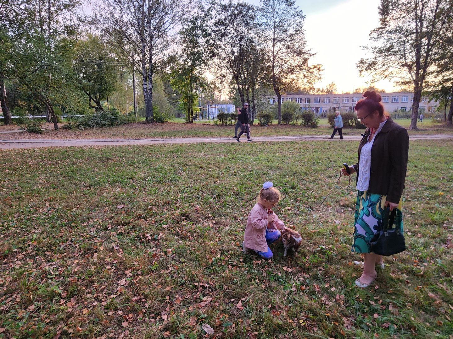 Чехов, деревня Алексеевка, поселок Чернецкое, выездная администрация, встреча с жителями, обращения жителей, благоустройство, улица Победы,
