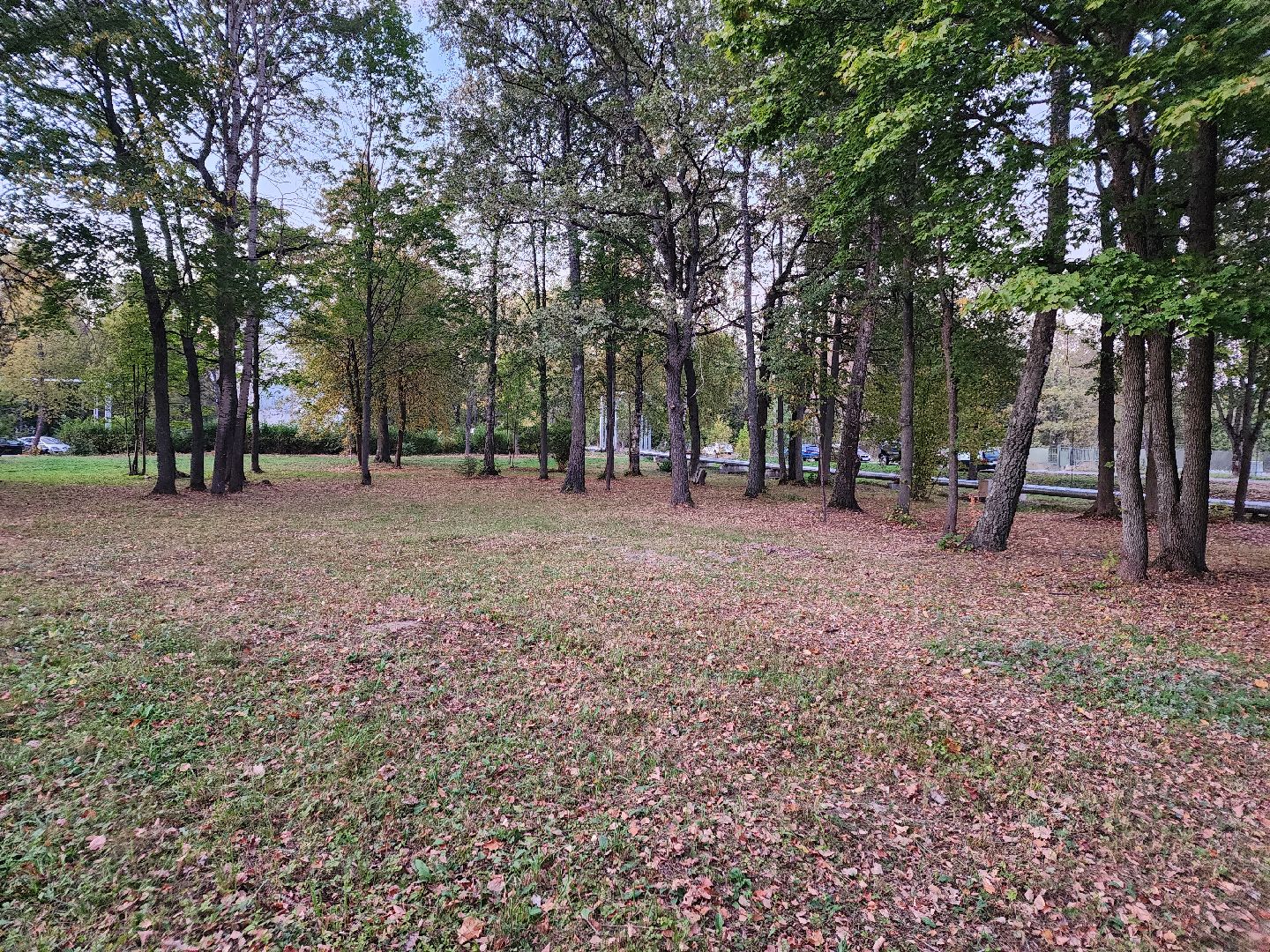 Чехов, деревня Алексеевка, поселок Чернецкое, выездная администрация, встреча с жителями, обращения жителей, благоустройство, улица Победы,