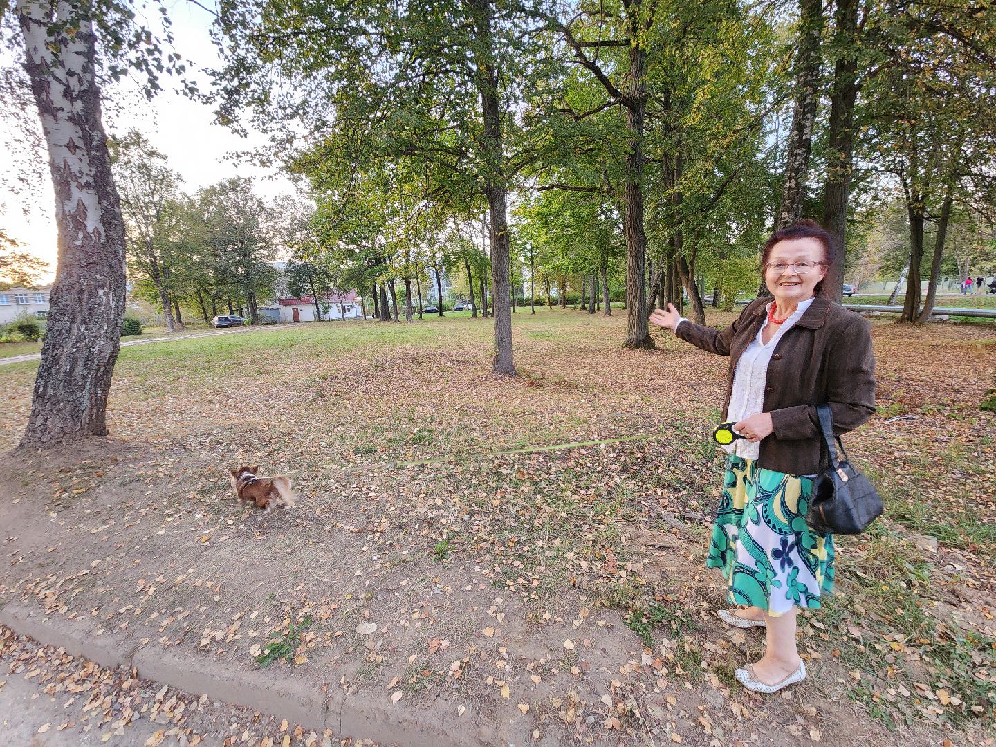 Чехов, деревня Алексеевка, поселок Чернецкое, выездная администрация, встреча с жителями, обращения жителей, благоустройство, улица Победы,