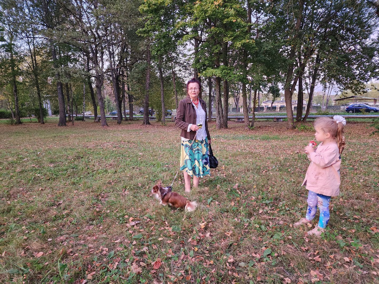 Чехов, деревня Алексеевка, поселок Чернецкое, выездная администрация, встреча с жителями, обращения жителей, благоустройство, улица Победы,