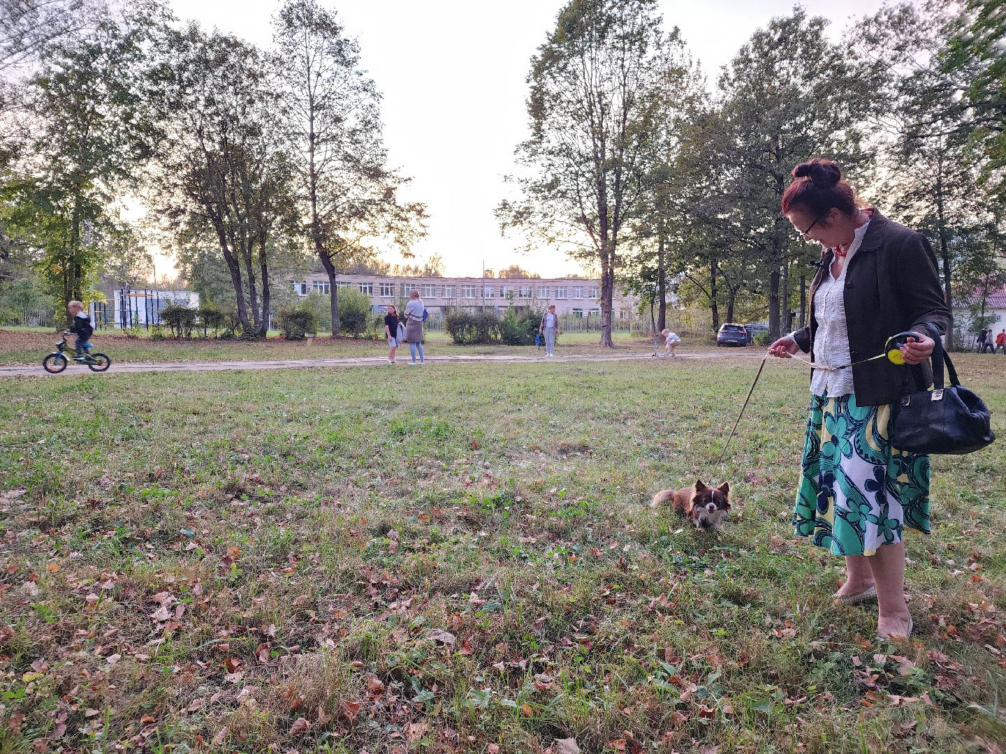 Чехов, деревня Алексеевка, поселок Чернецкое, выездная администрация, встреча с жителями, обращения жителей, благоустройство, улица Победы,