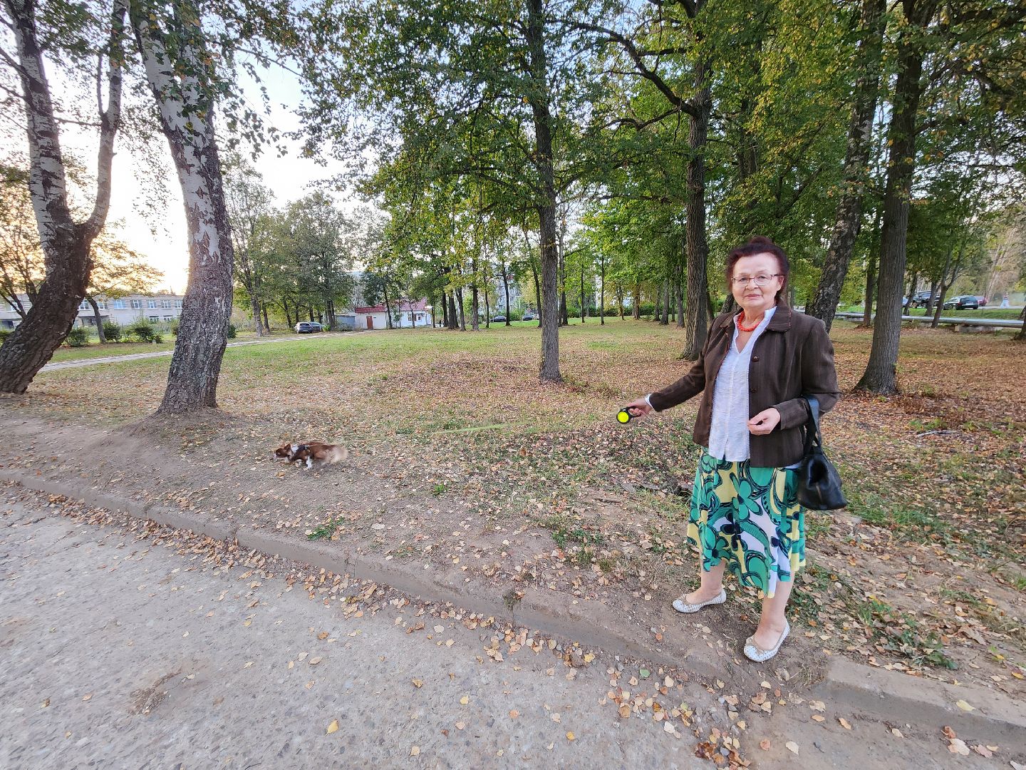 Чехов, деревня Алексеевка, поселок Чернецкое, выездная администрация, встреча с жителями, обращения жителей, благоустройство, улица Победы,