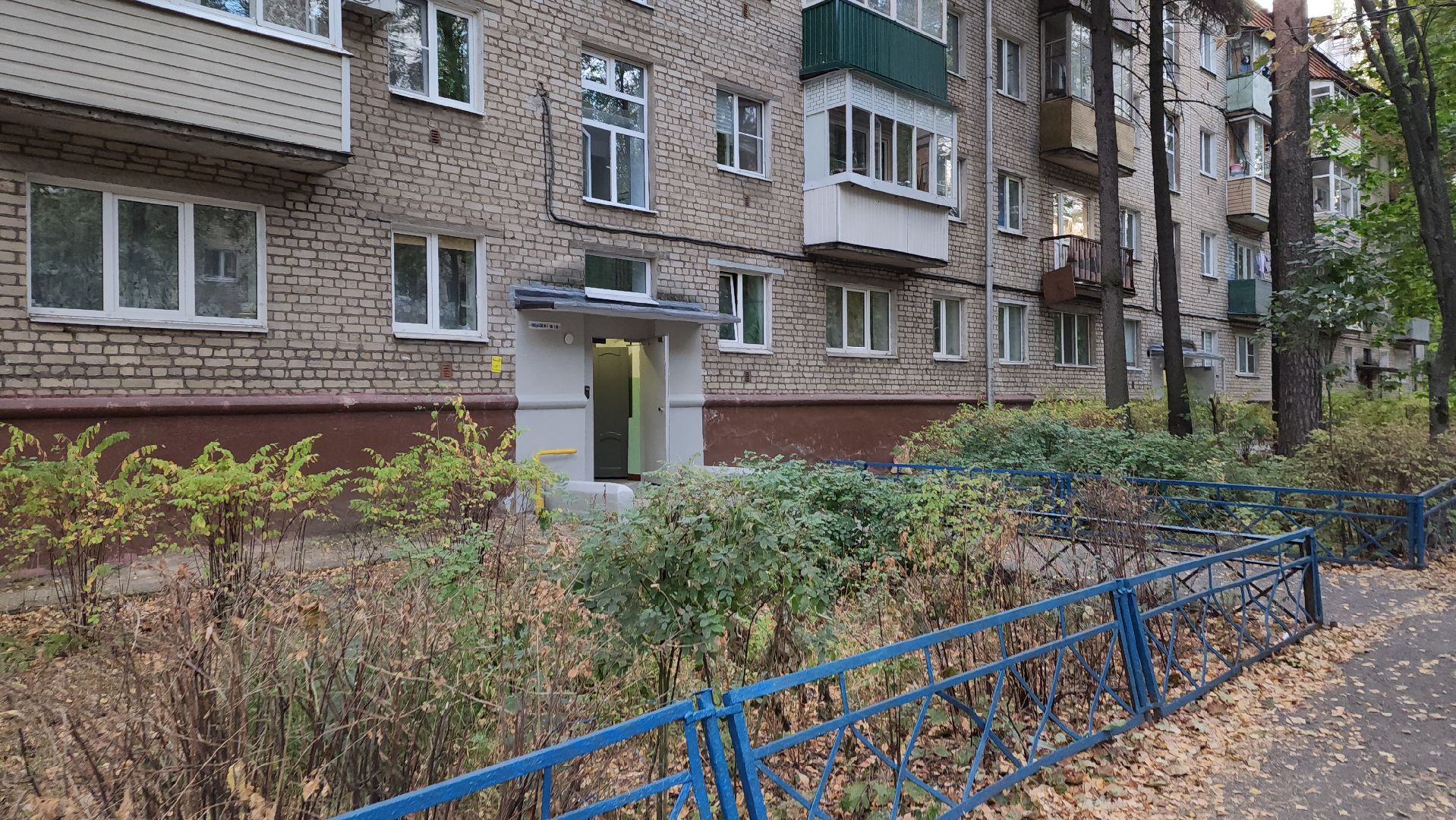 пушкино, мой подъезд, ремонт, маляр, штукатурка, замена окон,жители,