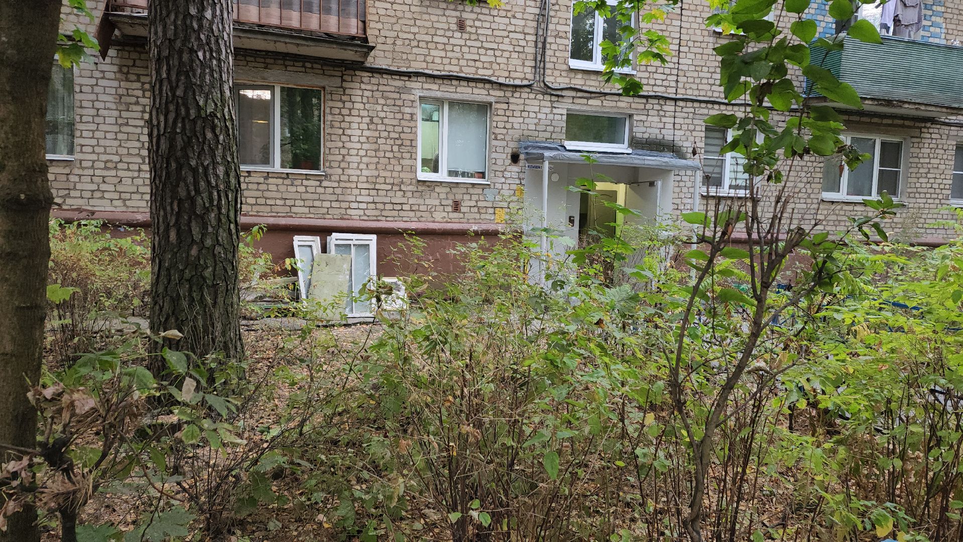 пушкино, мой подъезд, ремонт, маляр, штукатурка, замена окон,жители,