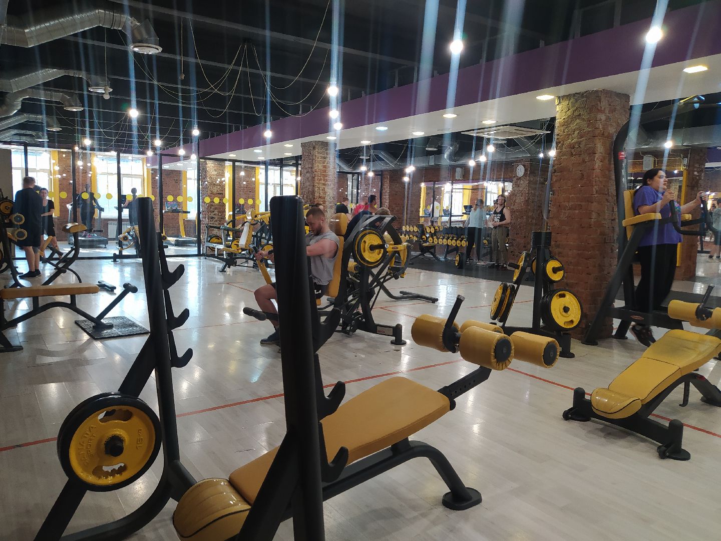 Спорт, подъём штанги на бицепс, соревнования, рекордсменка