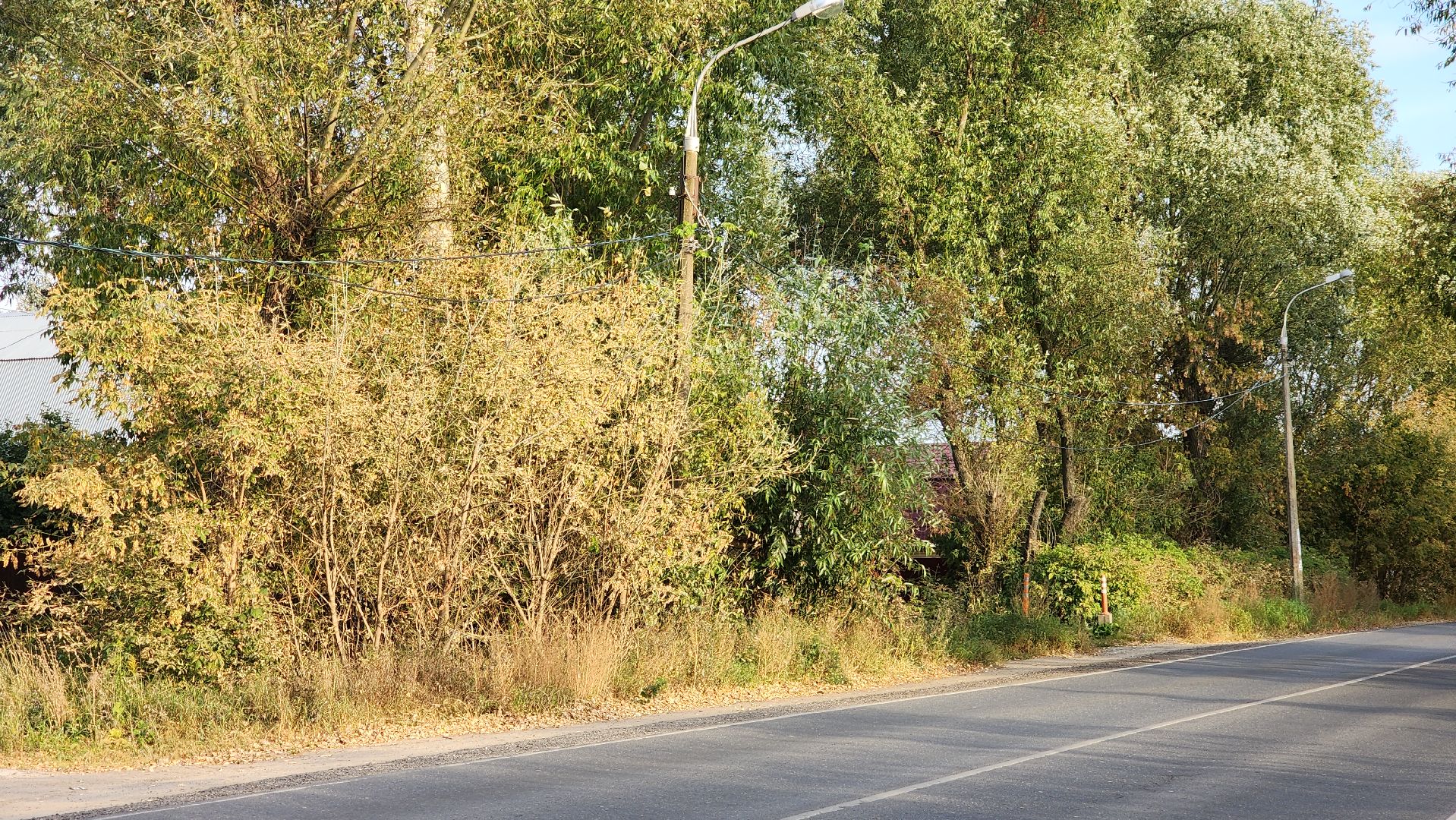 ступино, выездная администрация, опиловка деревьев,