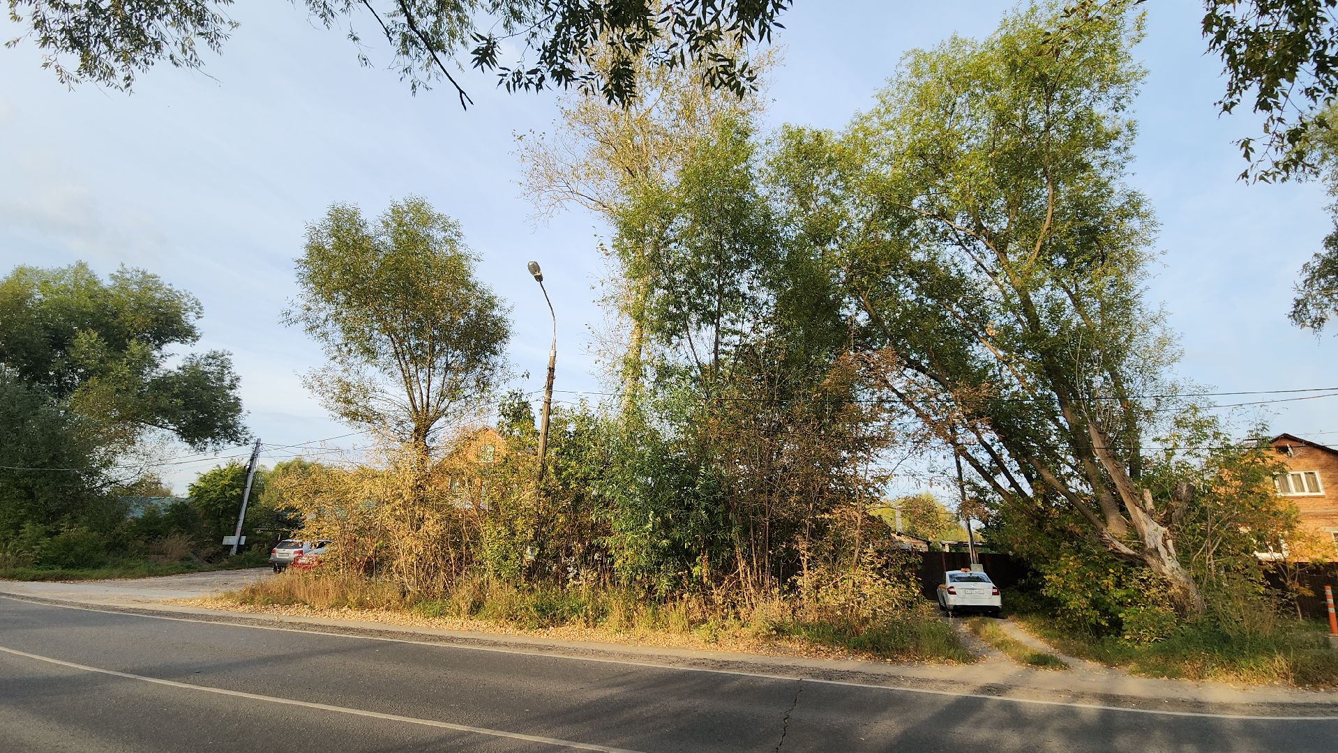 ступино, выездная администрация, опиловка деревьев,