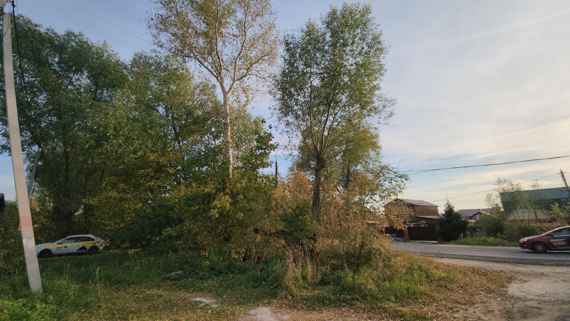 ступино, выездная администрация, опиловка деревьев,