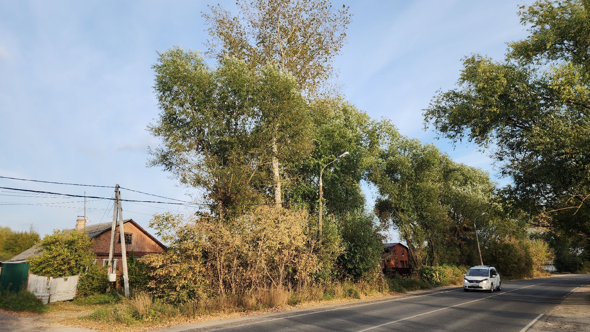 ступино, выездная администрация, опиловка деревьев,