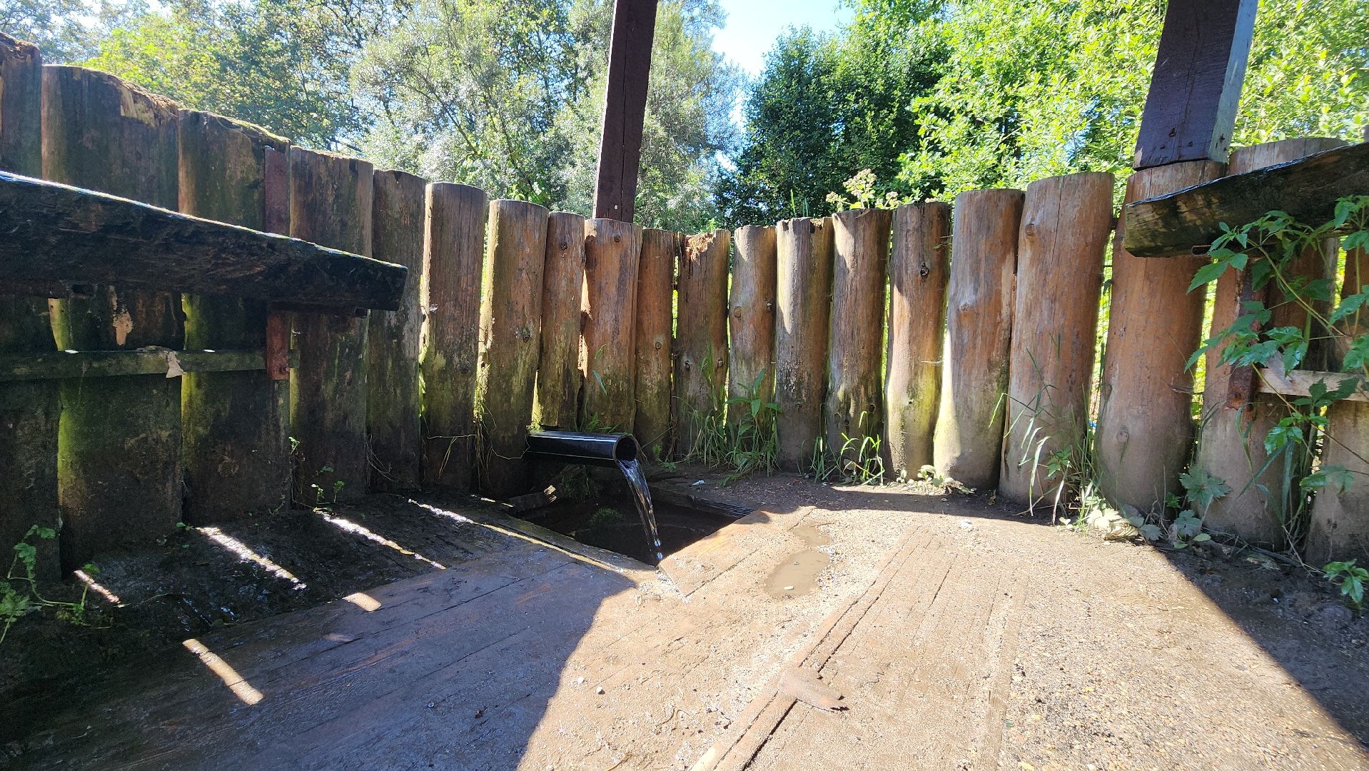 выездная администрация, Лосино-Петровский, благоустройство,