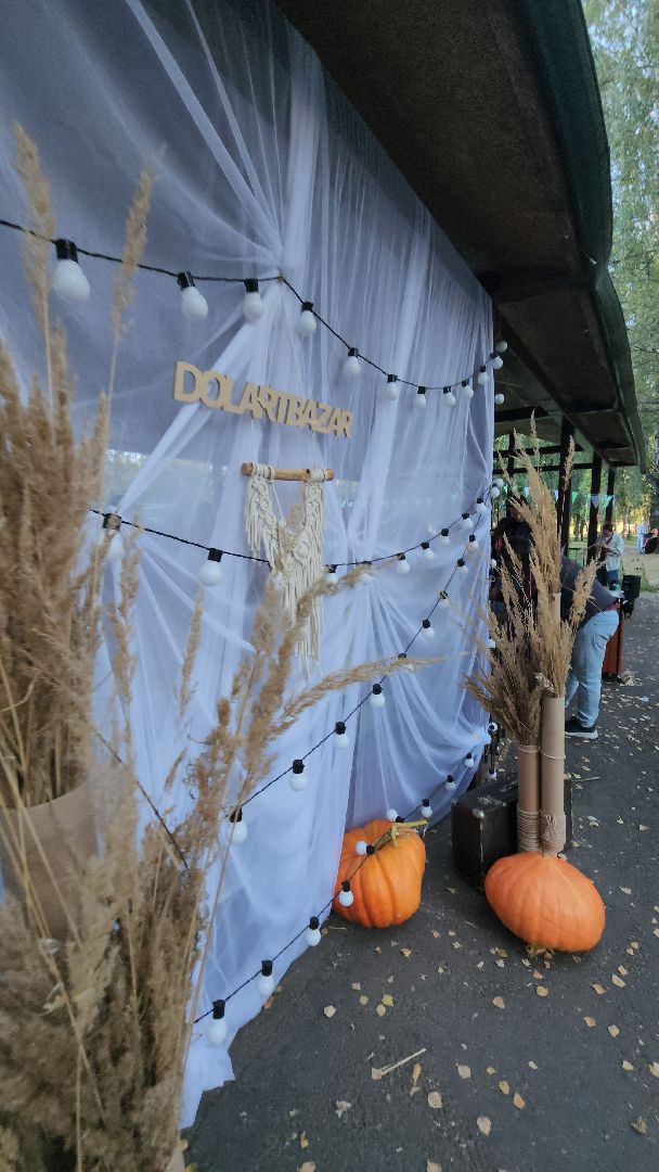 долгопрудный, арт-базар, дизайнеры, дрессура,центральный парк, x-легион,